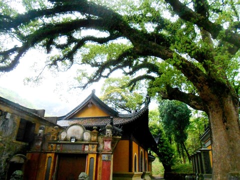 流慶寺