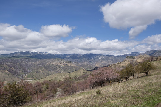 山