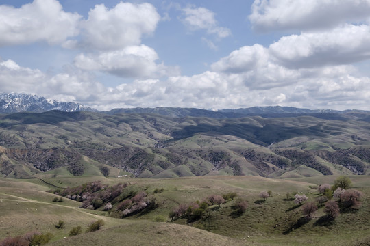 山