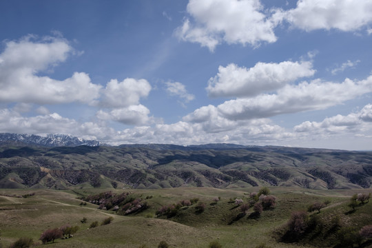 山