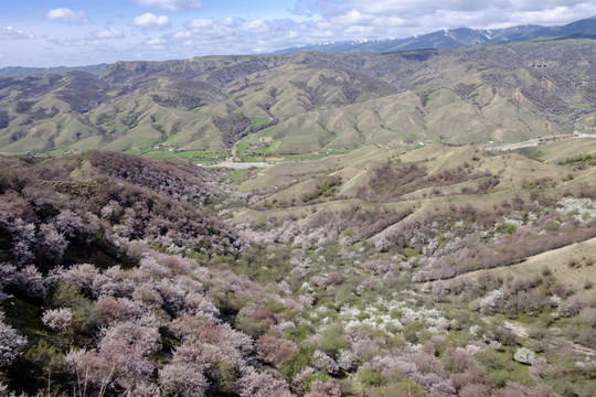 大山