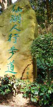 仙湖 人行步道