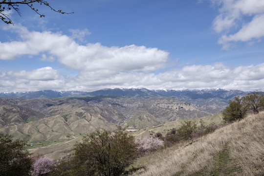 高山