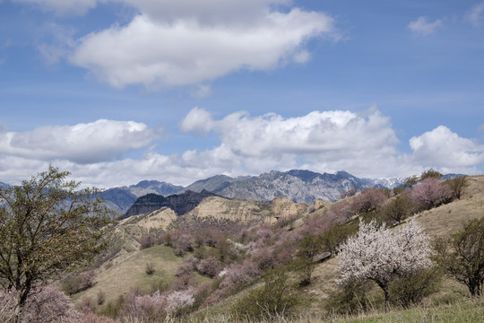 高山