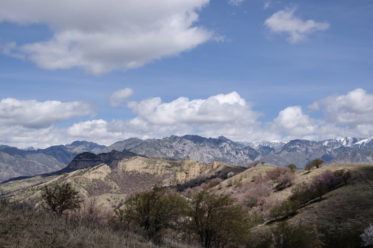 高山