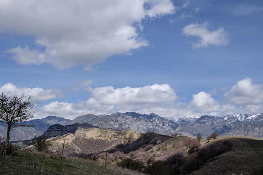 高山