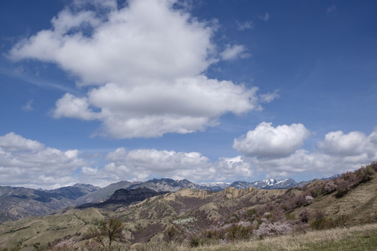 大山