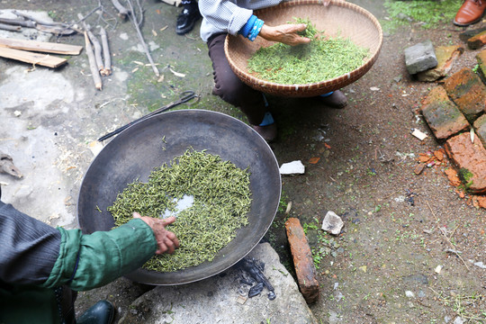 茶葉 炒茶