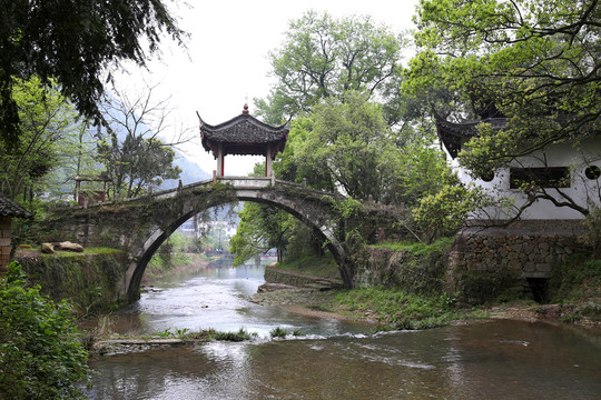 橋