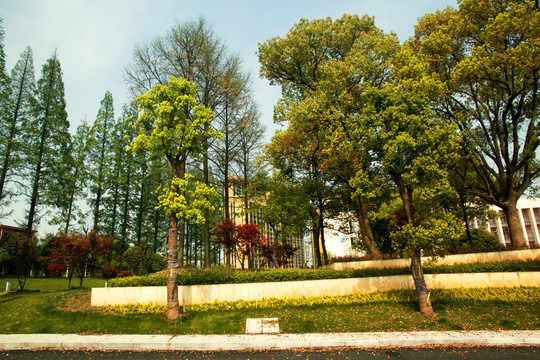 大學(xué)校園風(fēng)景