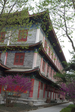 大興善寺 金剛堂 局部