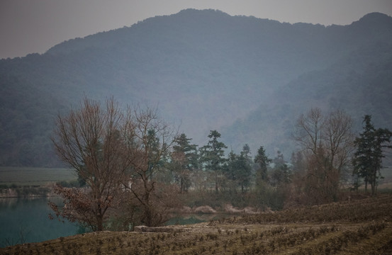 傍晚 山林