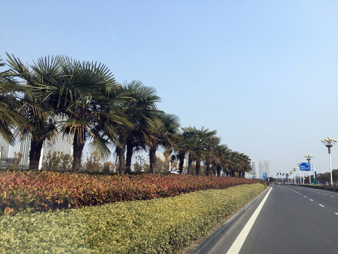 城市道路