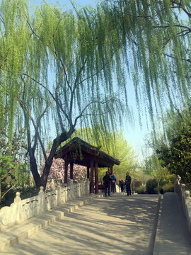 大明湖