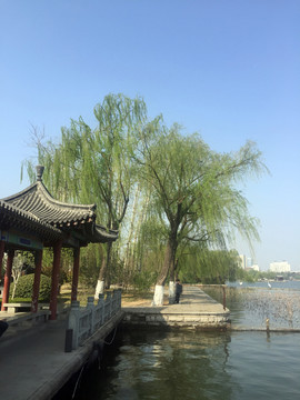 大明湖