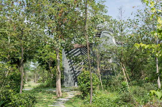 小路 小道 公園
