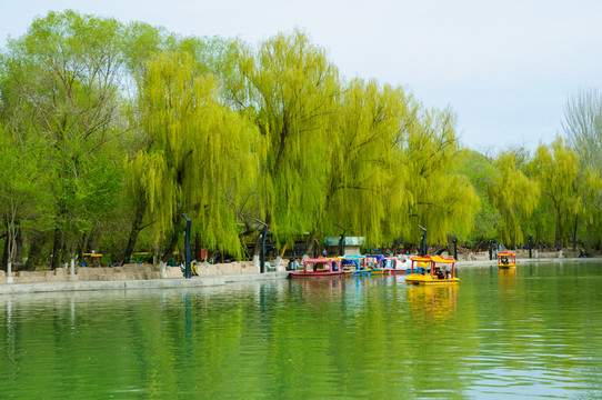 哈密人民公園