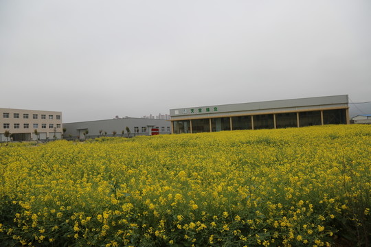 工業(yè)園區(qū)