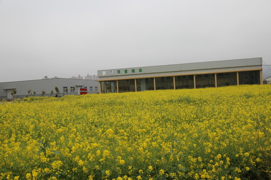 工業(yè)園區(qū)