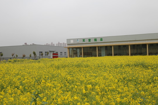 工業(yè)園區(qū)