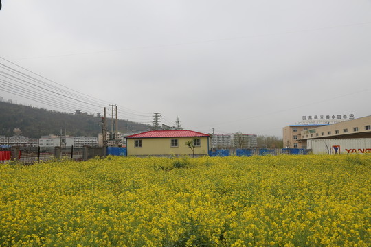 工業(yè)園建設(shè)