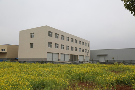 工業(yè)園新貌