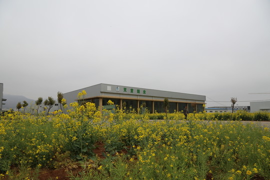 工業(yè)園區(qū)