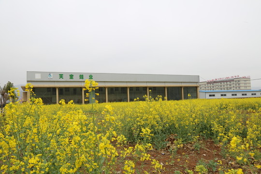 廠區(qū)環(huán)境