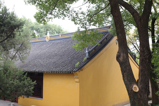 古寺 樹木