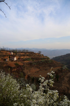 山村春早