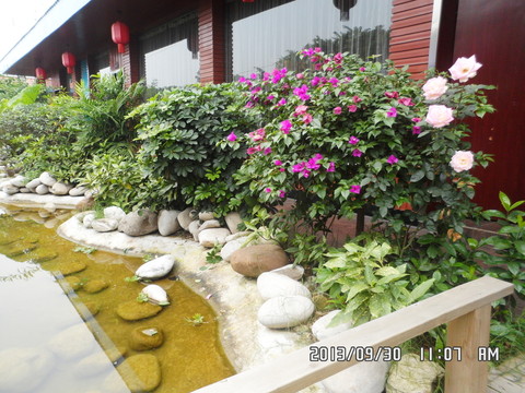 人工花園