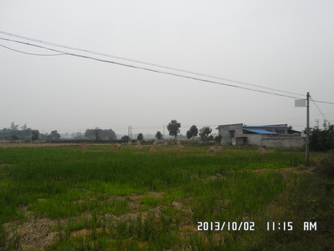 田野