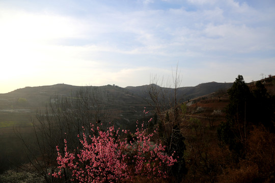 山野黎明