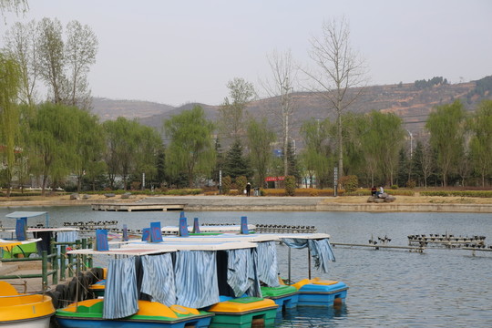 公園游船