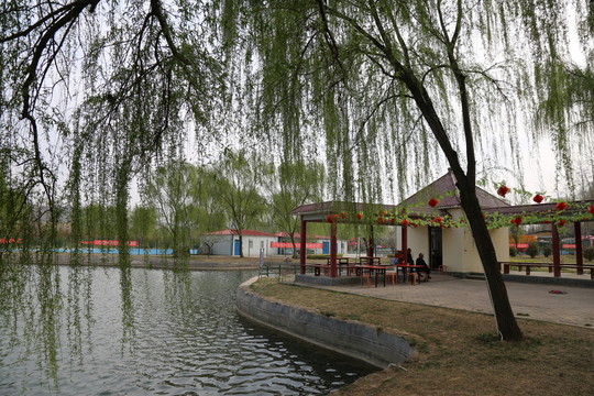 湖畔風(fēng)光