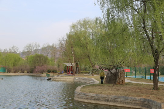 湖畔風(fēng)光
