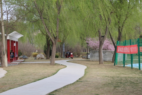 林蔭小路