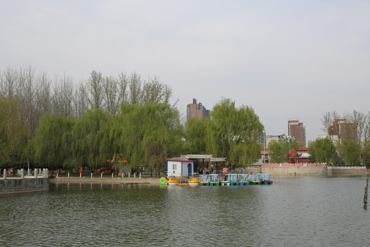 公園湖水