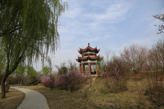 公園風(fēng)景