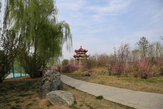 公園風景