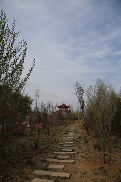 公園小道