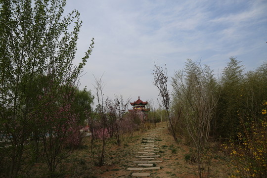 公園風(fēng)景