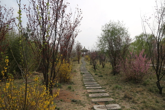 公園小路