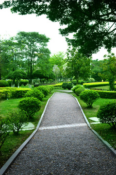 公園小徑