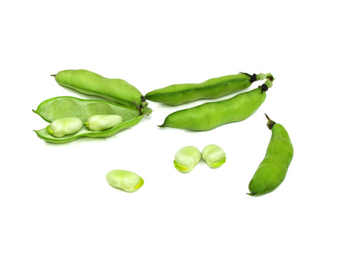 新鮮蠶豆