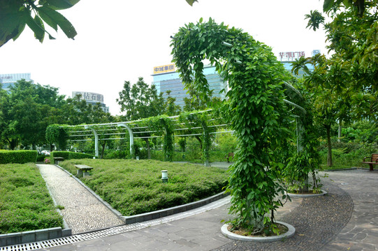 公園