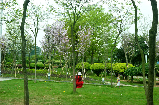 公園