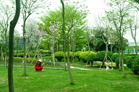 公園