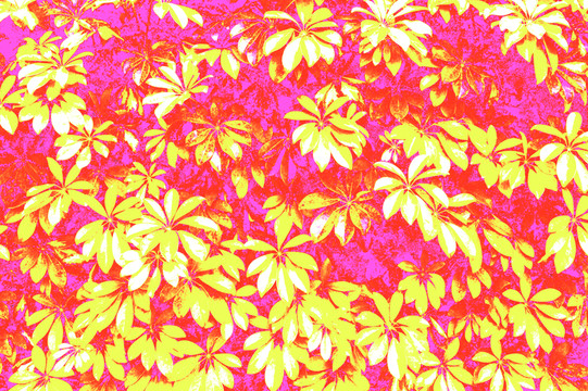 花紋 花型
