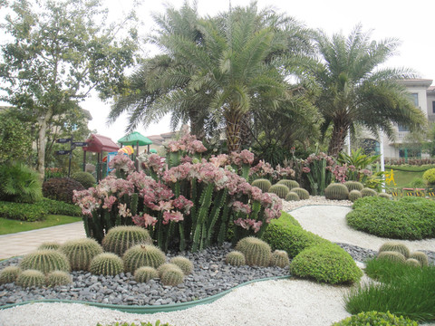 花園